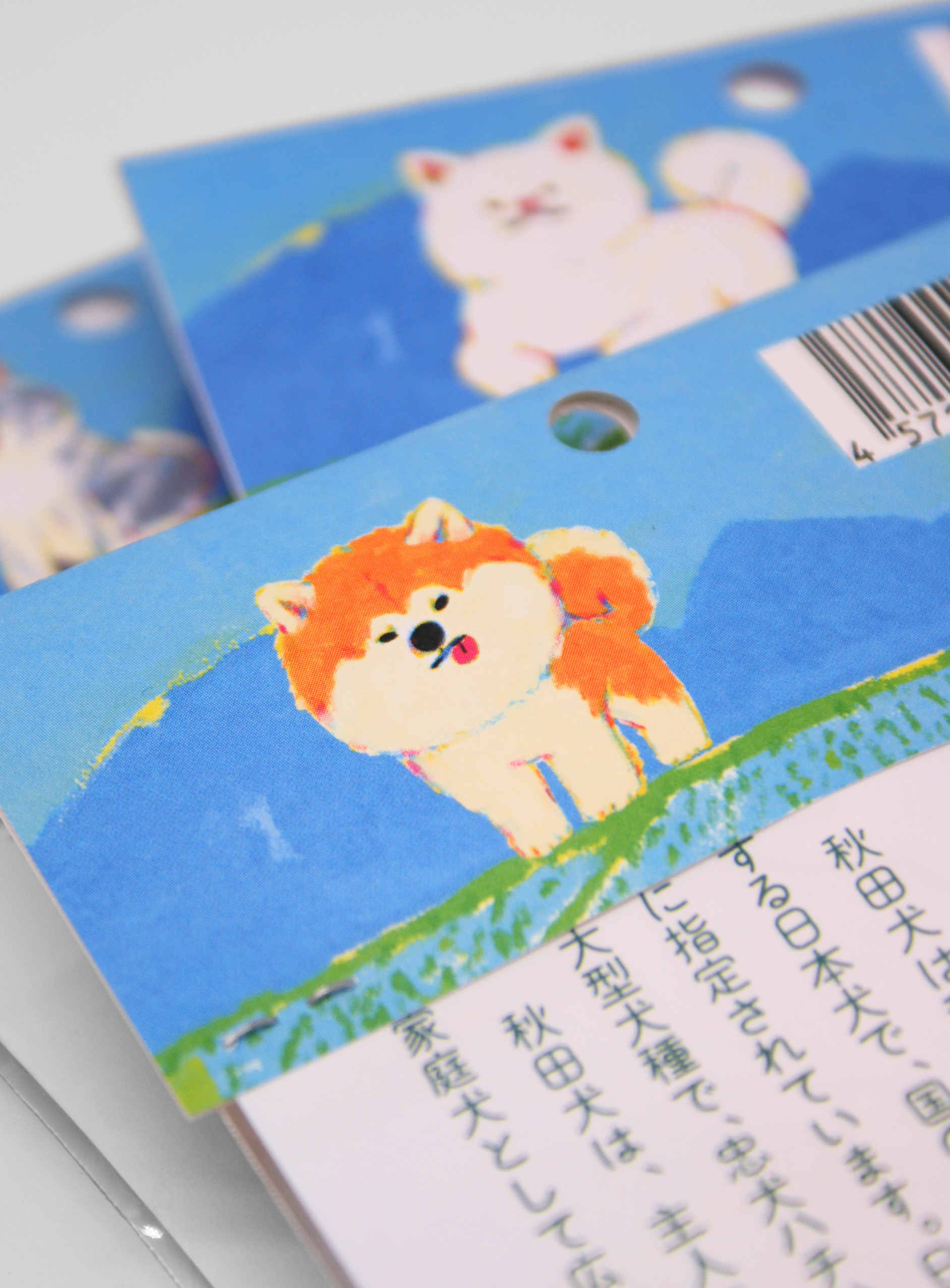 裏までかわいい秋田犬キーホルダーのパッケージ裏面画像