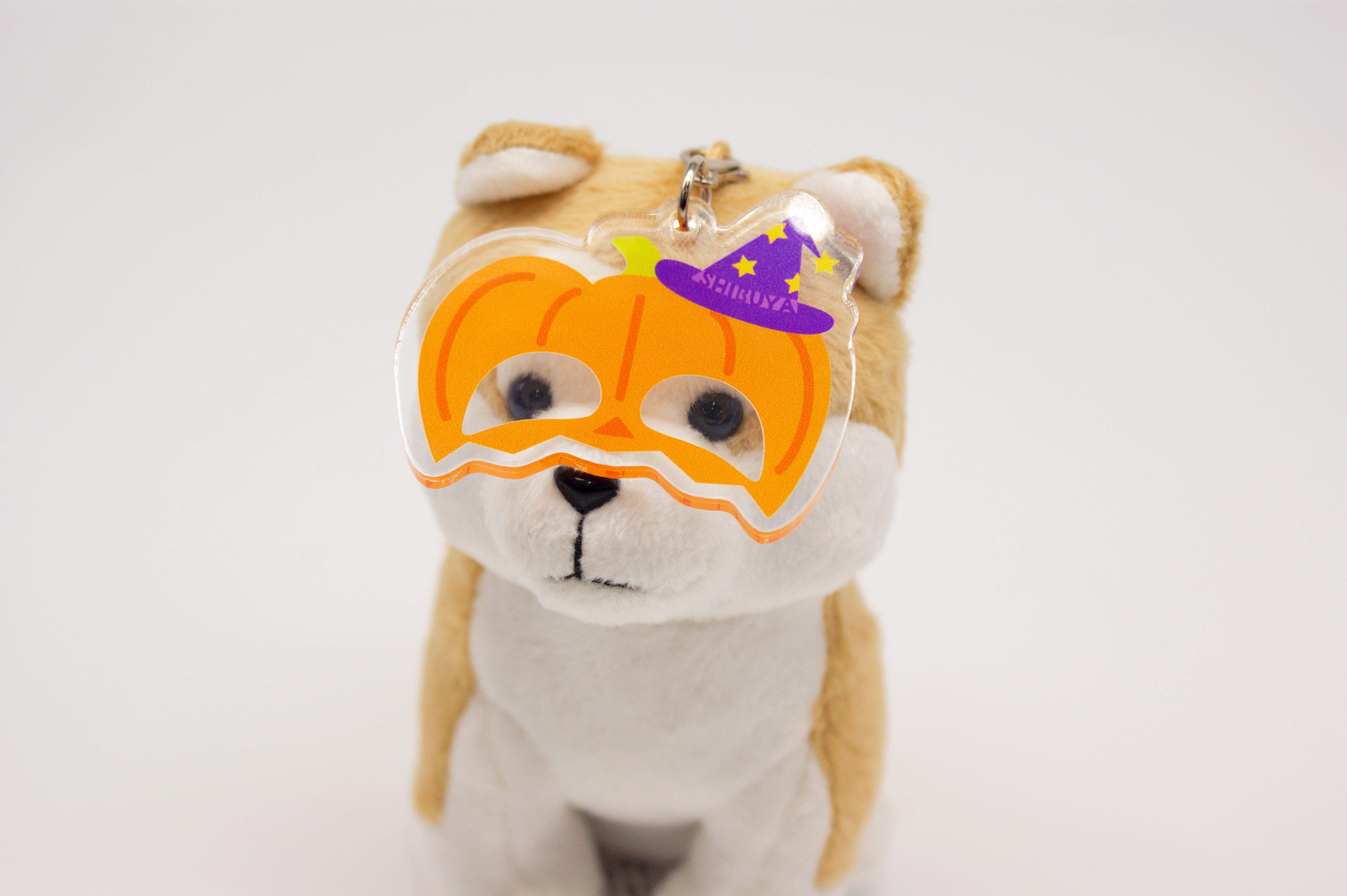 ハロウィンver. パンプキン