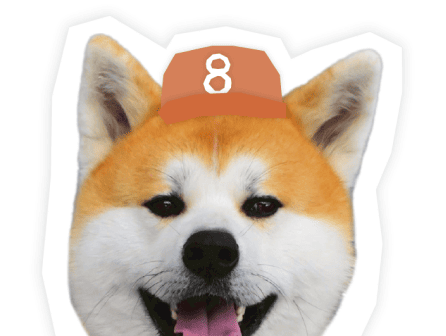 SAVE AKITA