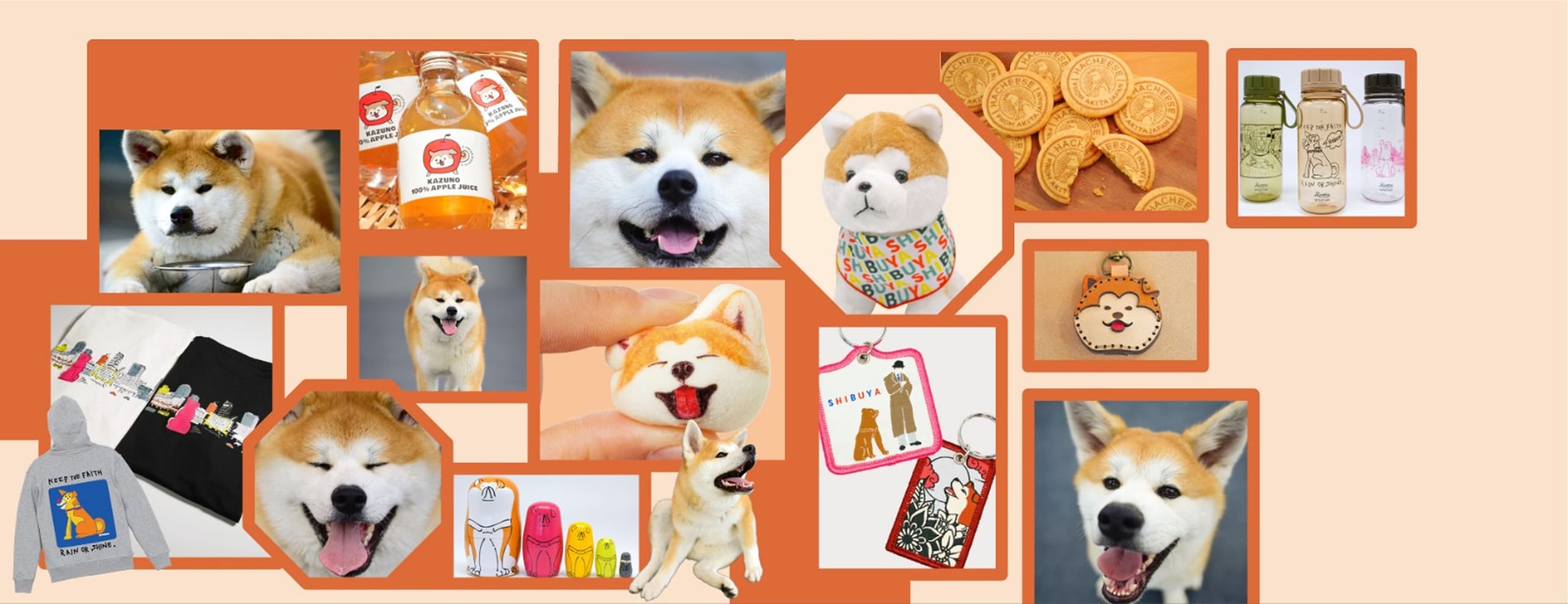 ハチふる SHIBUYA meets AKITA