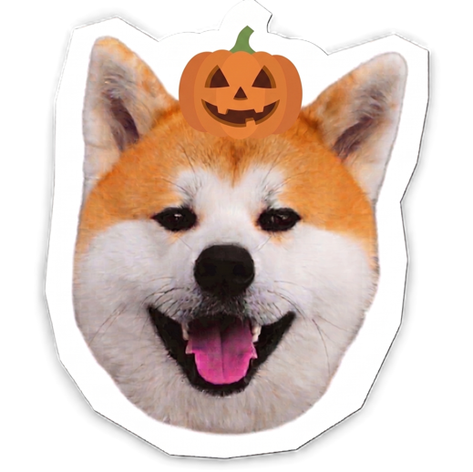 ハロウィンハチ犬