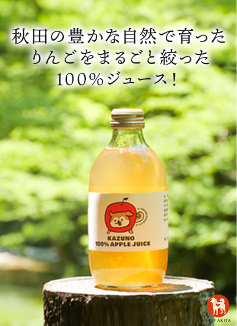 秋田県産 無添加 100% りんごジュース 100パック JA秋田ふるさと 無添加 りんご100％ジュース - 秋田市民市場