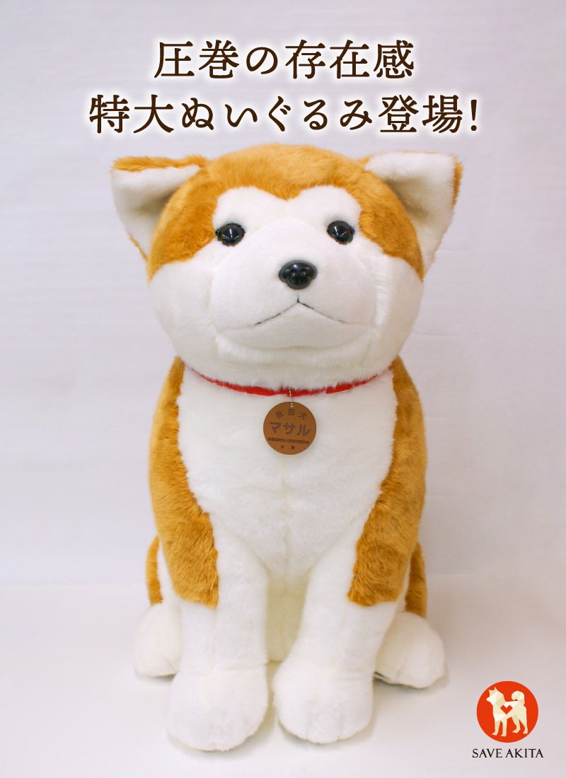 000000000469-01.jpg?size=l&w=