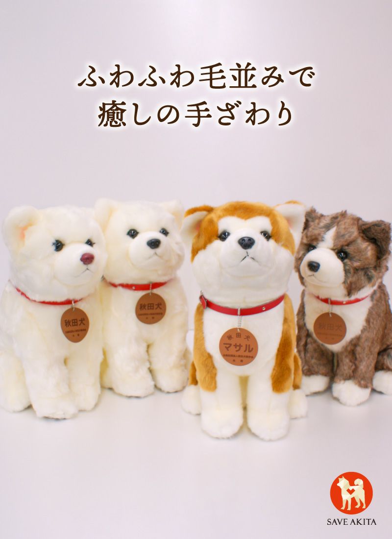 秋田犬マサルL(赤毛)/白毛L(ピンク鼻・黒鼻)/虎毛L | ハチふる SHIBUYA
