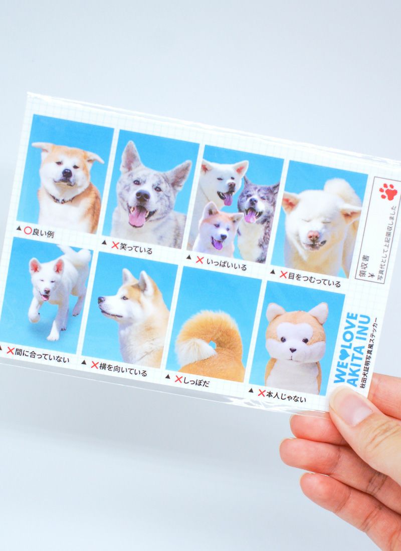 秋田犬 証明写真風ステッカー 商品画像