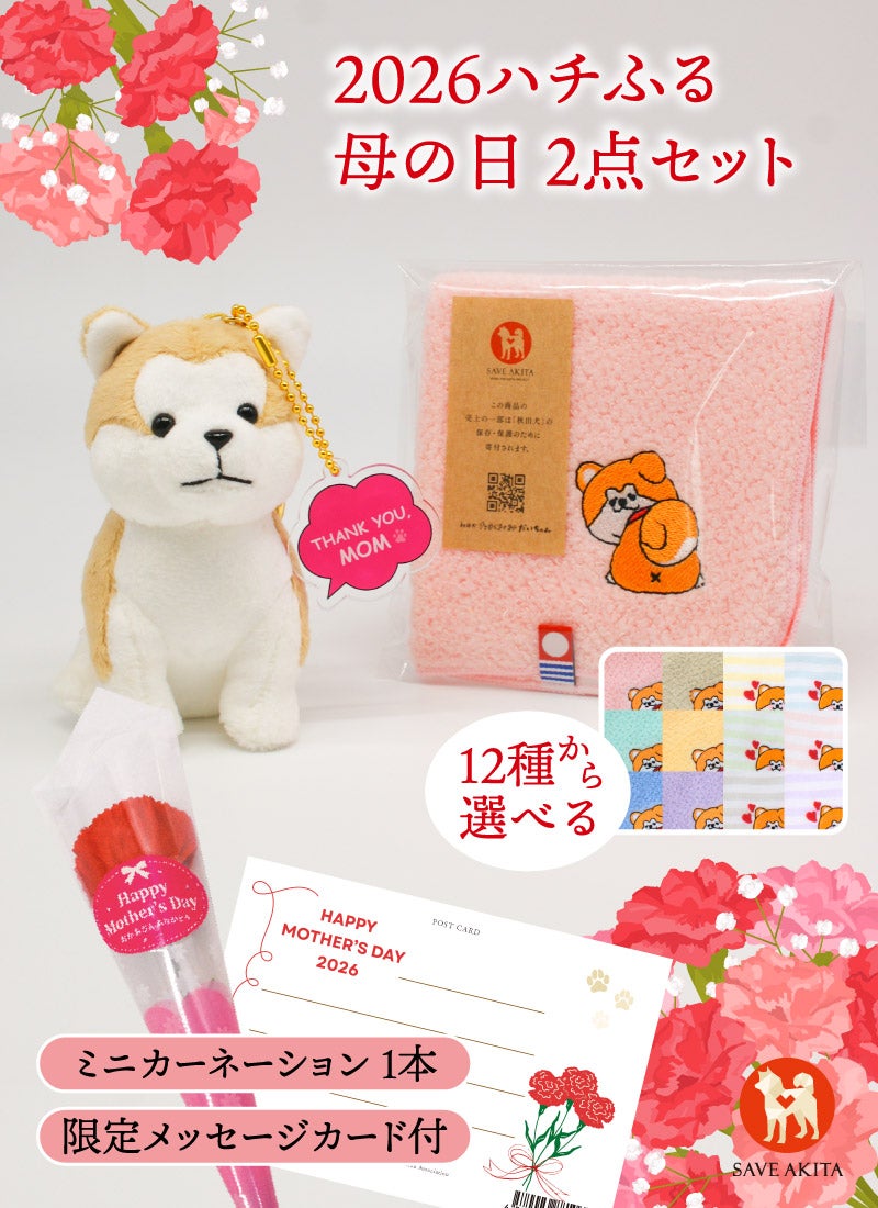 母の日ミニセット