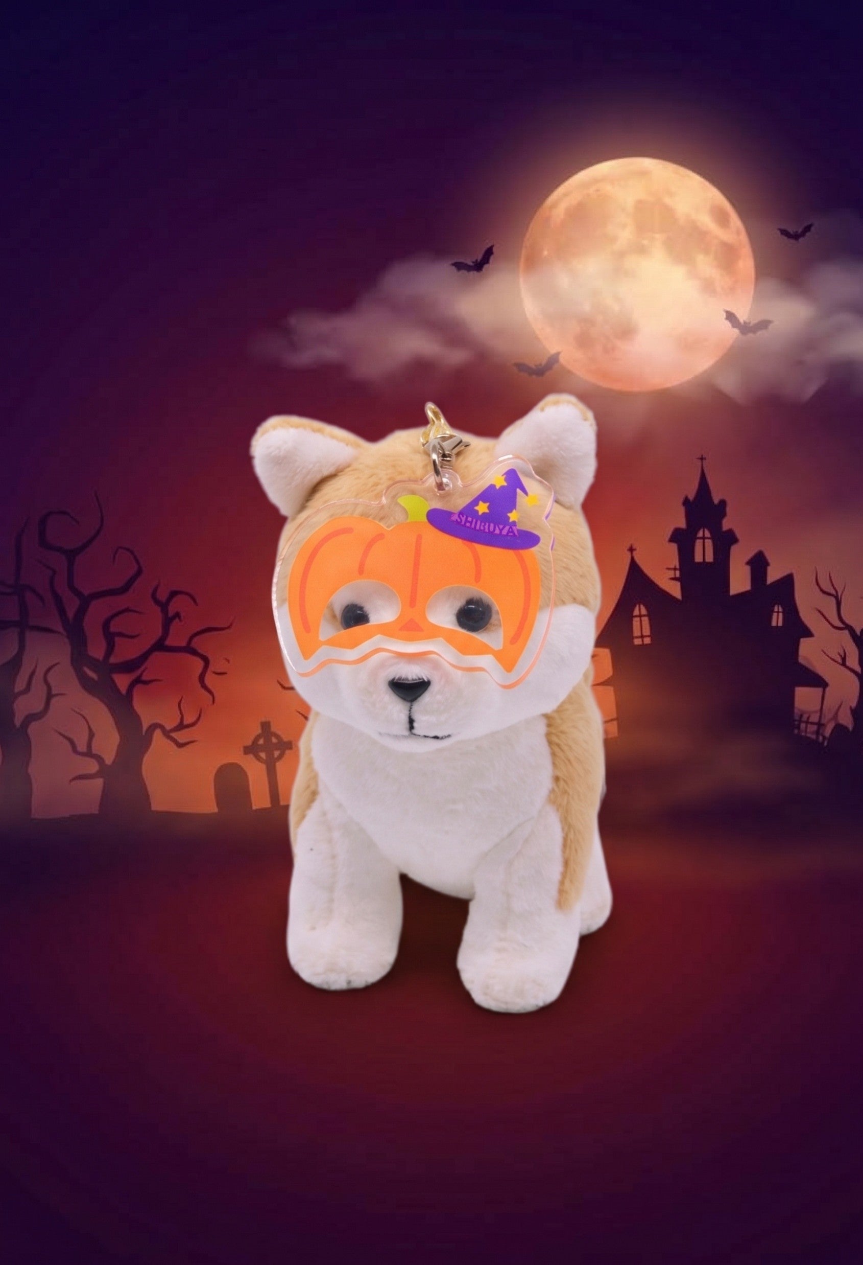 2026ハチふるハロウィン特集