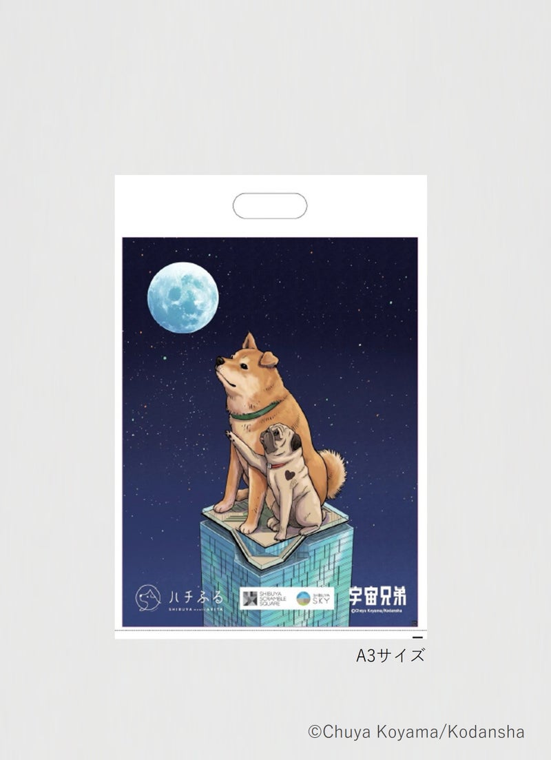 宇宙兄弟 ショッパー アポ×ハチふる
